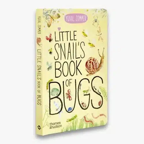 Little Snail's Book Of Bugs board book - Yuval Zommer | wineandwaterways